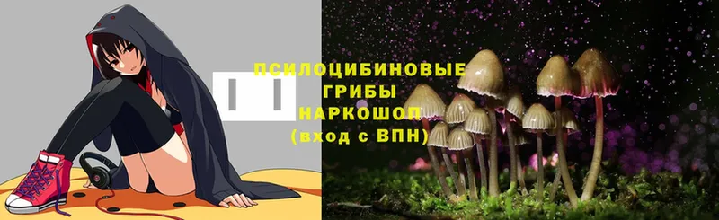 Галлюциногенные грибы MAGIC MUSHROOMS  KRAKEN сайт  Бобров 